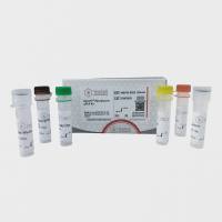 MycoEZ 支原体检测试剂盒