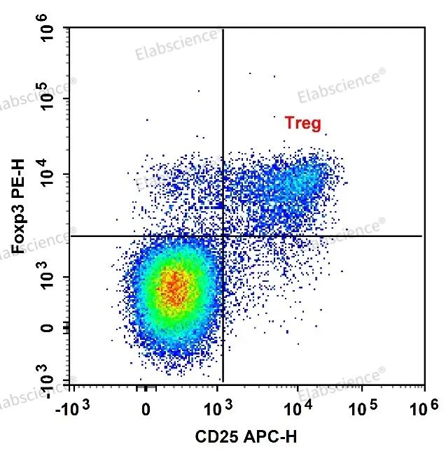 Elabscience流式课堂 | 流式配色原则第四课：共表达抗原