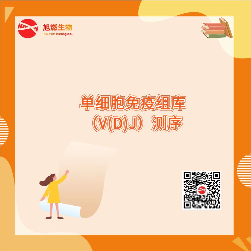单细胞免疫组库(V(D)J)测序