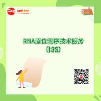 RNA原位测序技术服务（ISS）
