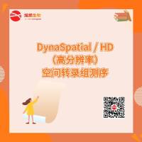  DynaSpatial / HD（高分辨率）空间转录组测序