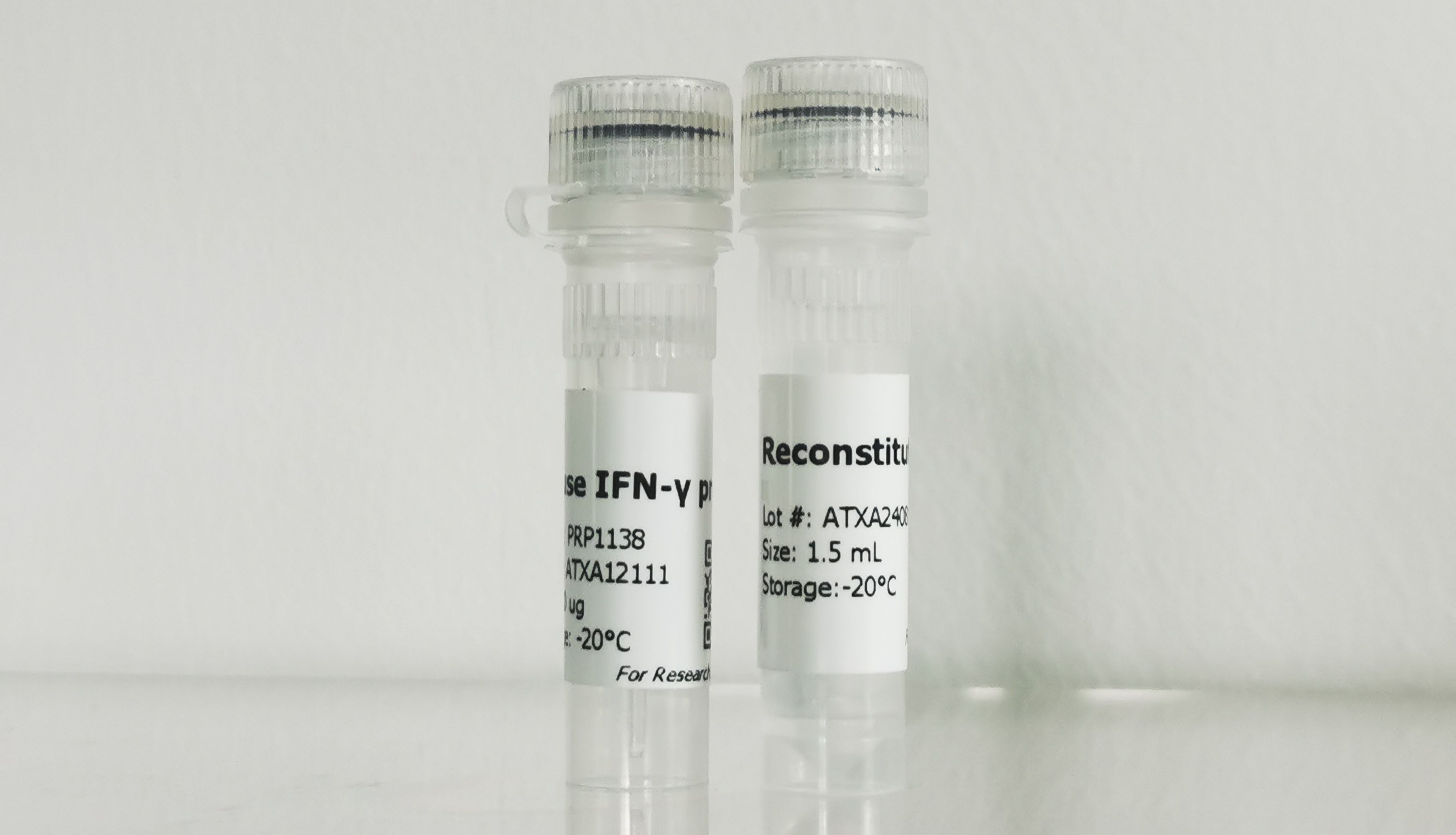 Abbkine带你全面了解细胞因子！