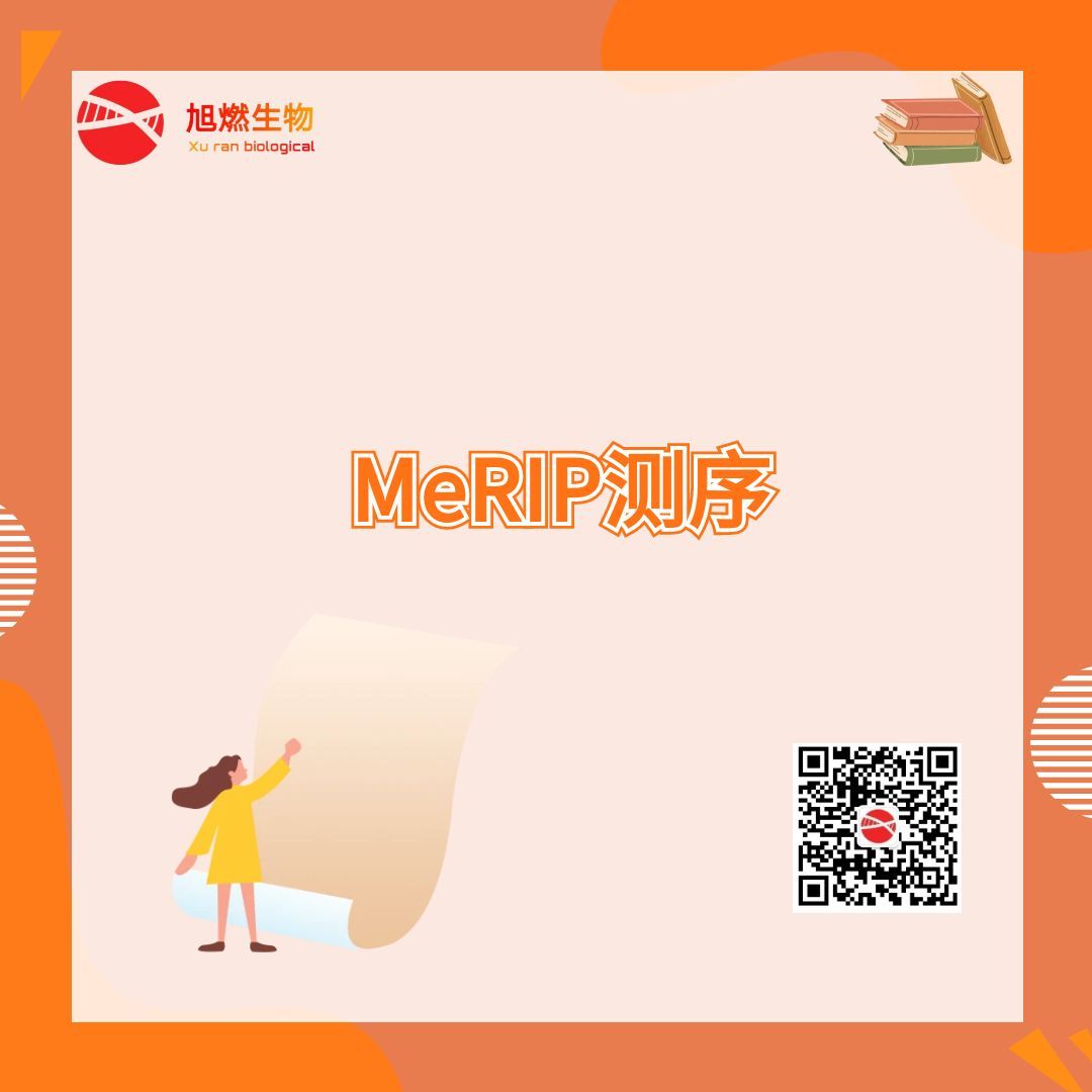 MeRIP测序