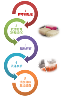 新闻图片2