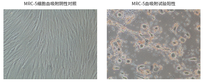 产品细节图片11