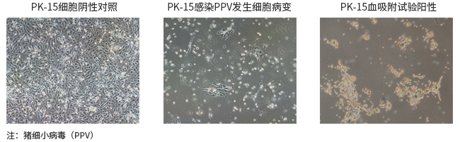 产品细节图片13