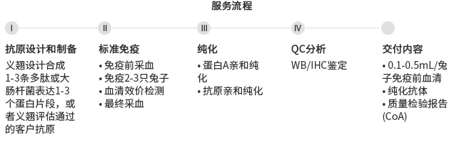 多克隆抗體制備服務(wù)