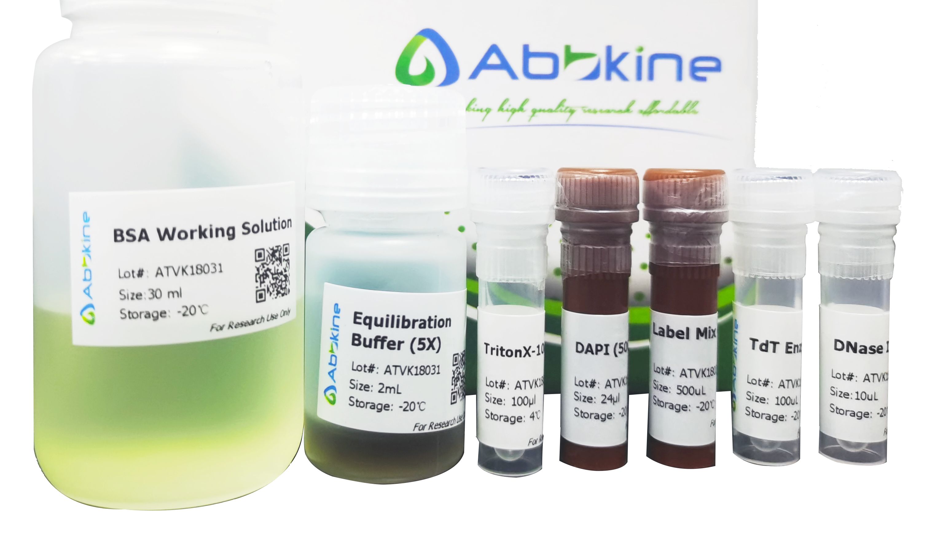 为什么称TdT末端转移酶为别具一格的DNA聚合酶？