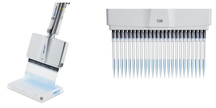 Eppendorf 艾本德 Xplorer/Xplorer 