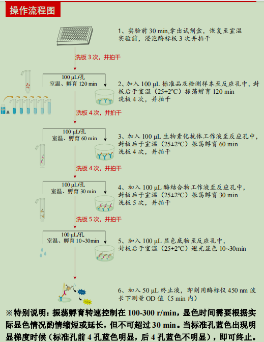 产品细节图片2