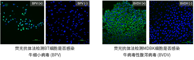 产品细节图片12