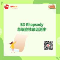 BD Rhapsody单细胞转录组测序