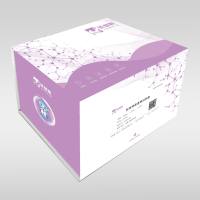 长效颅骨透明试剂盒 颅骨透明化试剂