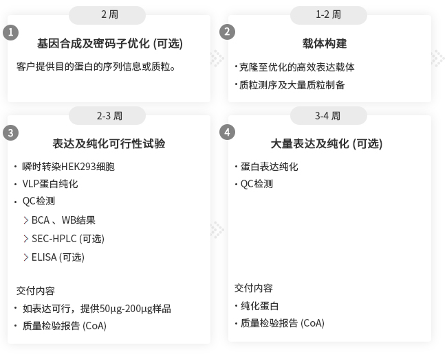 VLP形式的膜蛋白表达服务