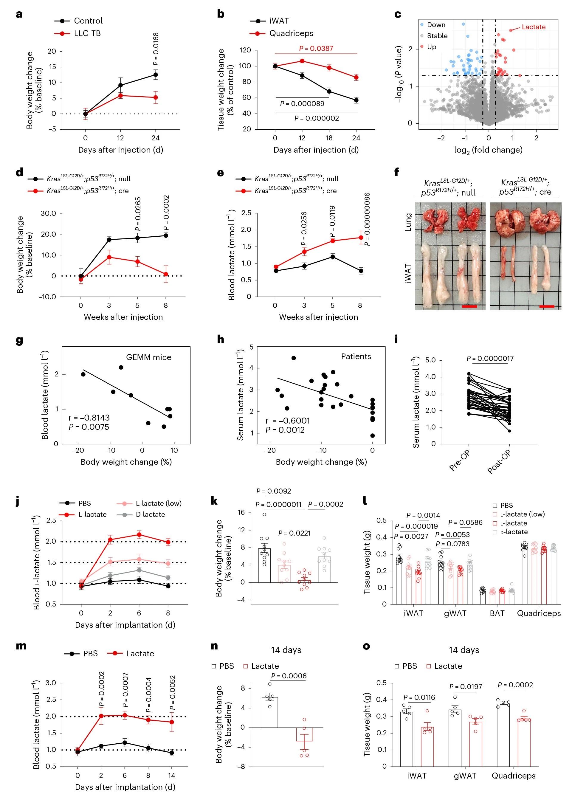 IF=20.8丨揭示乳酸激活GPR81驱动肿瘤诱导的恶病质机制