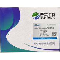 2× SYBR Green qPCR 试剂盒