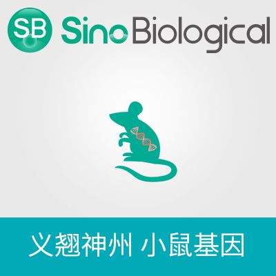 产品封面图