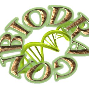 博奥龙Biodragon货号B1003现货HA-Tag(1B10) Mouse Monoclonal Antibody上海睿安生物13611631389