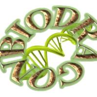 博奥龙Biodragon货号B1003现货HA-Tag(1B10) Mouse Monoclonal Antibody上海睿安生物13611631389