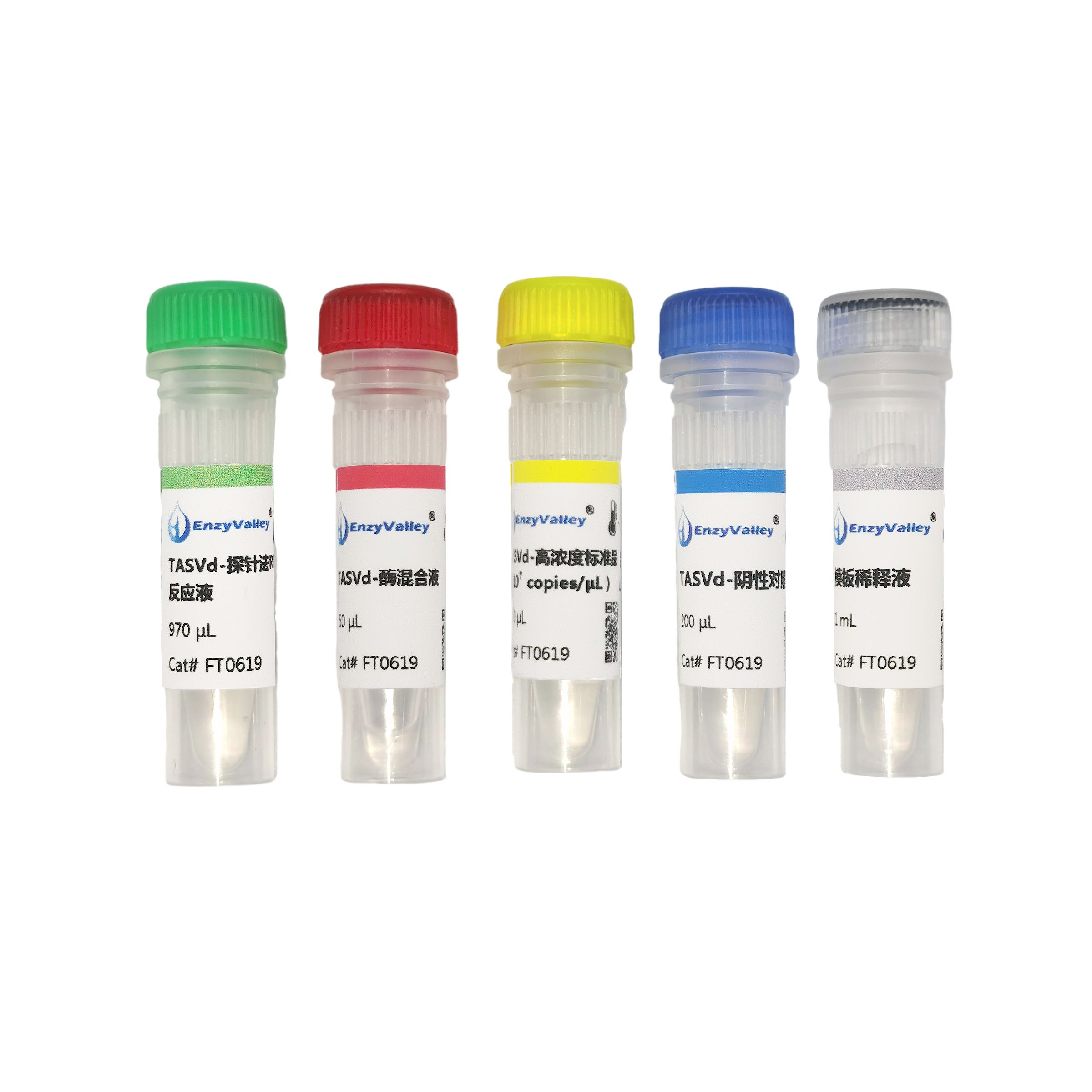 番茄顶缩类病毒荧光探针法RT-PCR检测试剂盒（FT0619）