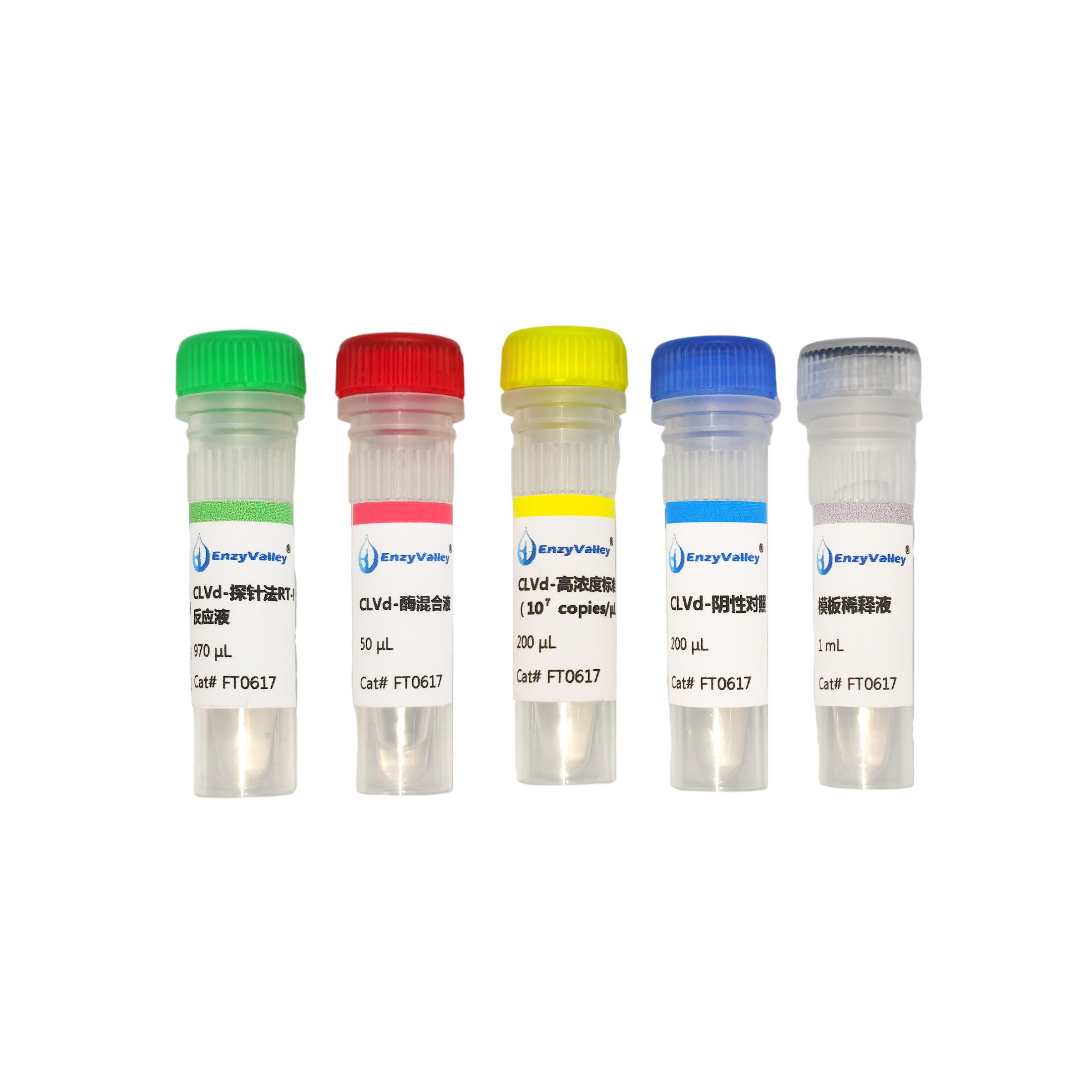 金鱼花潜隐类病毒荧光探针法RT-PCR检测试剂盒（FT0617）