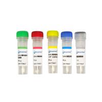 金鱼花潜隐类病毒荧光探针法RT-PCR检测试剂盒（FT0617）