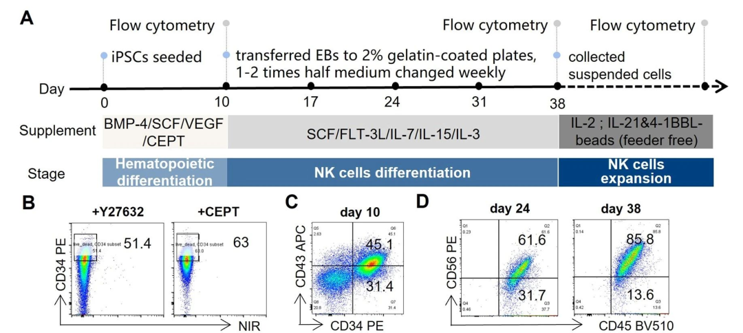 TargetMol明星分子—PMA