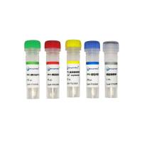 猪细小病毒探针法PCR试剂盒