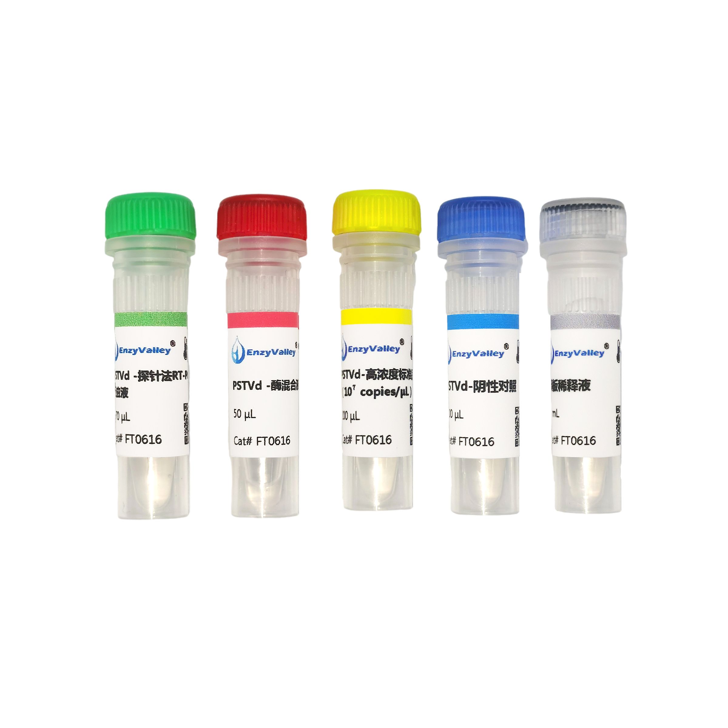 马铃薯纺锤块茎类病毒荧光探针法RT-PCR检测试剂盒（FT0616）