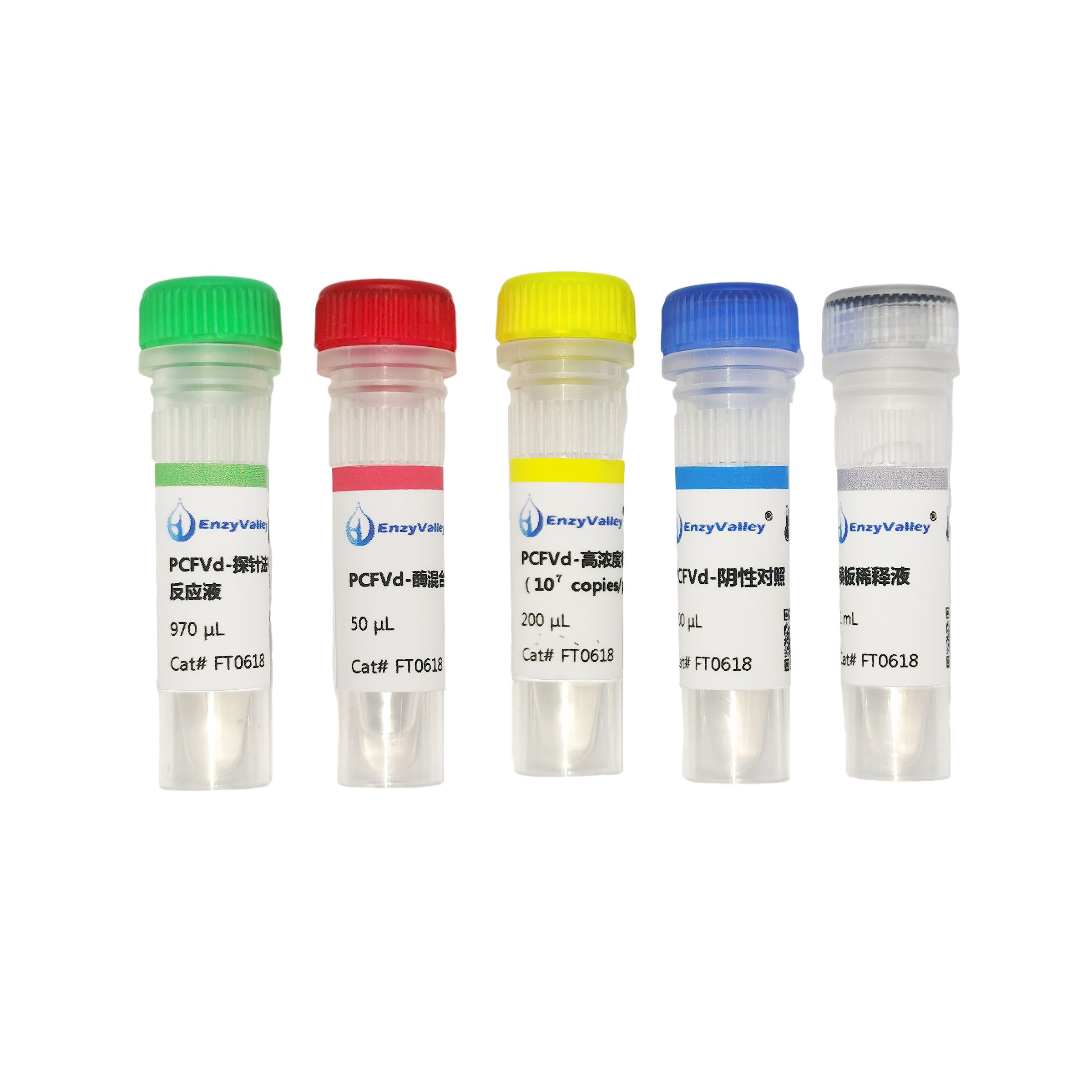 辣椒小果类病毒荧光探针法RT-PCR检测试剂盒（FT0618）