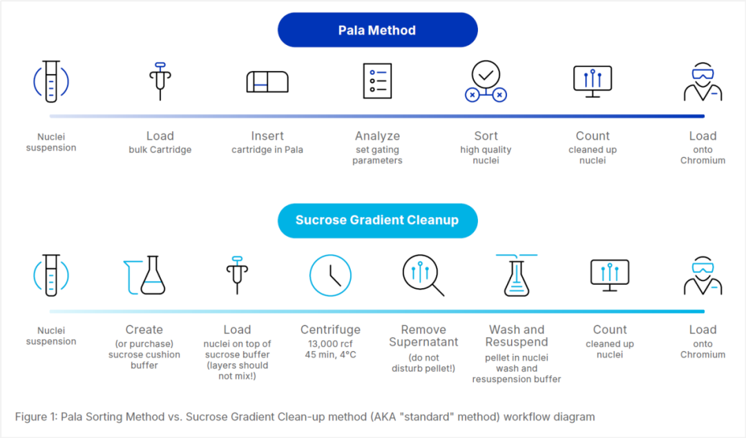 单细胞柔性分选系统Pala和10x Genomics联合坐镇单细胞核测序，用数据说话