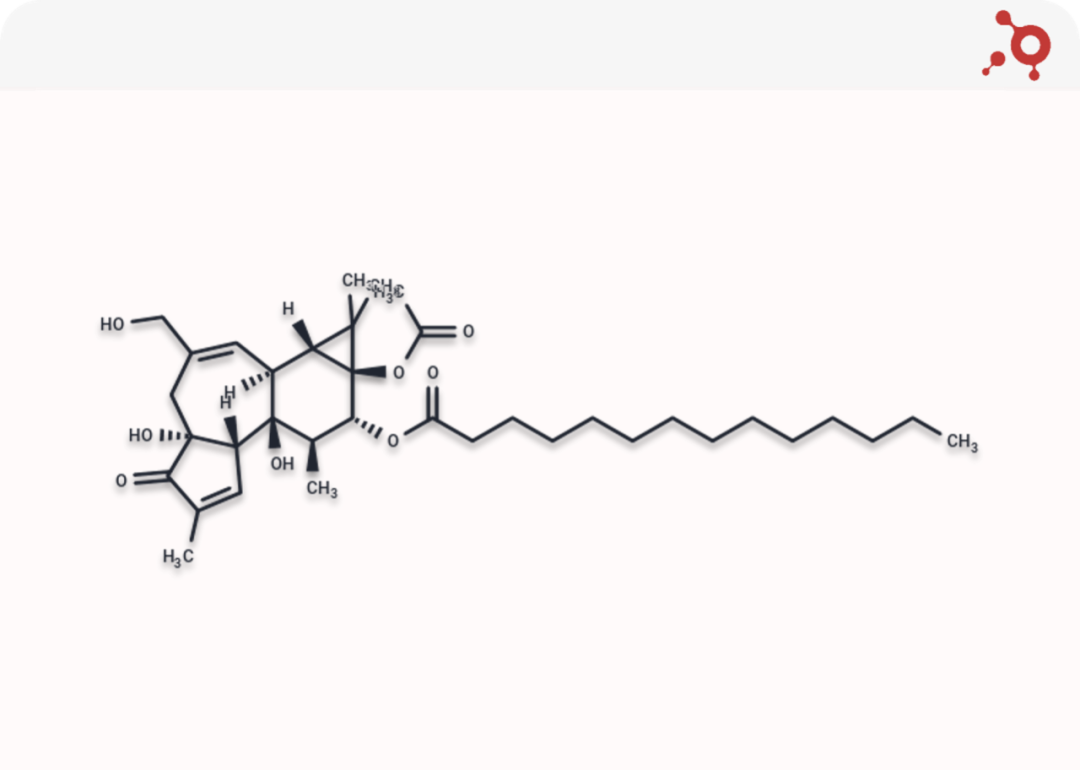 TargetMol明星分子—PMA