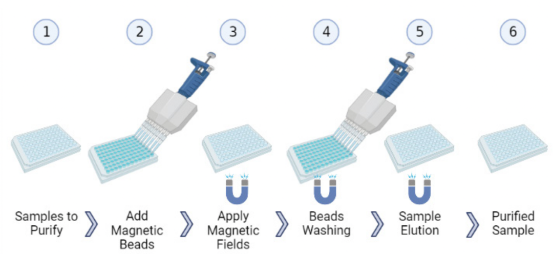 全自动、非接触式、无吸头的基于磁珠的DNA 纯化