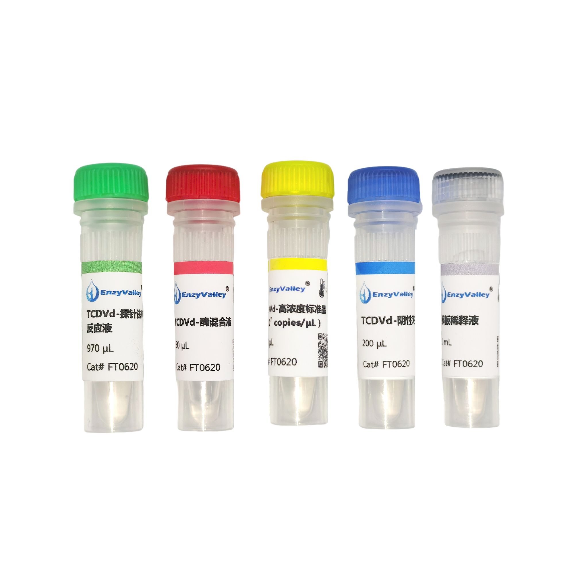番茄褪绿矮缩类病毒荧光探针法RT-PCR检测试剂盒（FT0620）