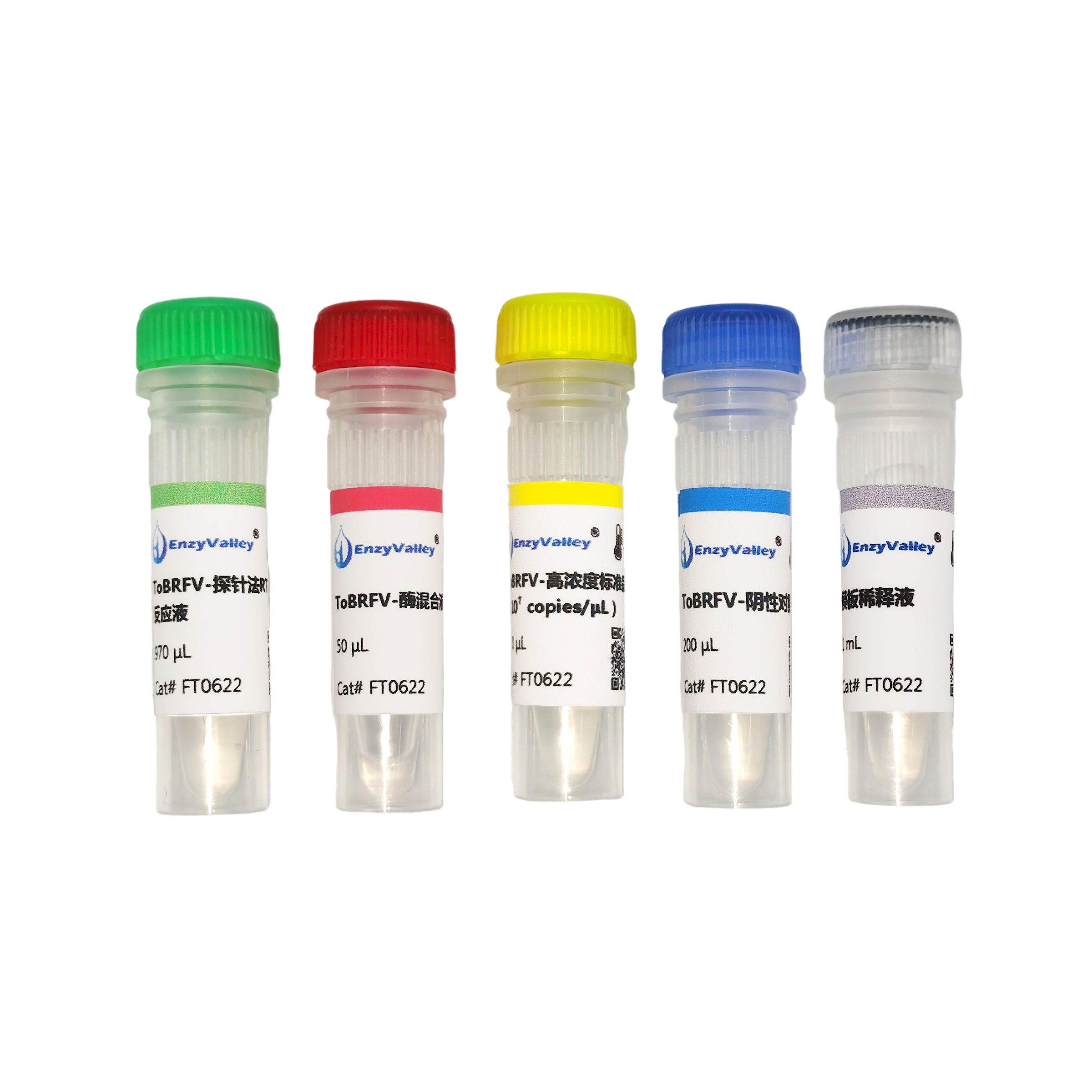 番茄褐色皱果病毒荧光探针法RT-PCR检测试剂盒（FT0622）