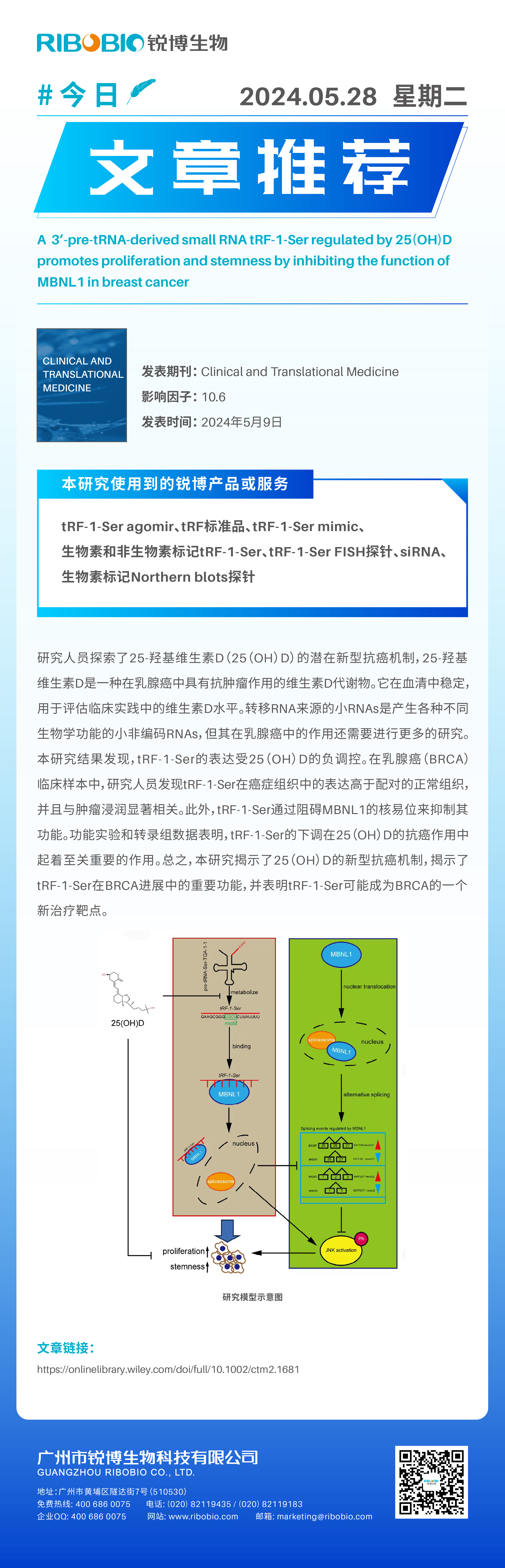 今日文章推荐（IF10.6）丨3′-pre-tRNA来源的tRF-1-Ser通过抑制MBNL1在乳腺癌中的功能来促进增殖和干性