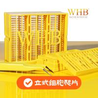 立式细胞爬片，TC双面处理，灭菌，14mm、20mm、24mm