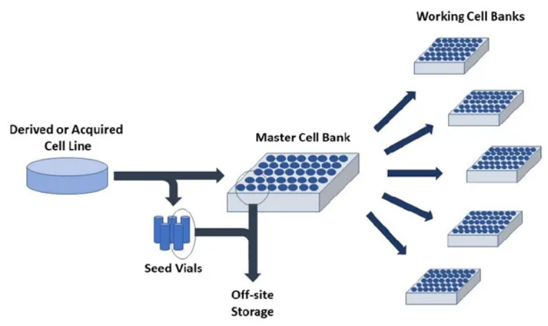 PSC 质量标准评估指导原则
