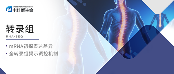 项目文章AFM（IF 19）| 腰椎病不再来！陆军军医大学新桥医院揭示动态水凝胶神奇疗效
