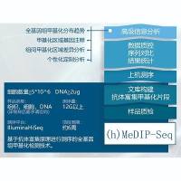 MeDIP-Seq