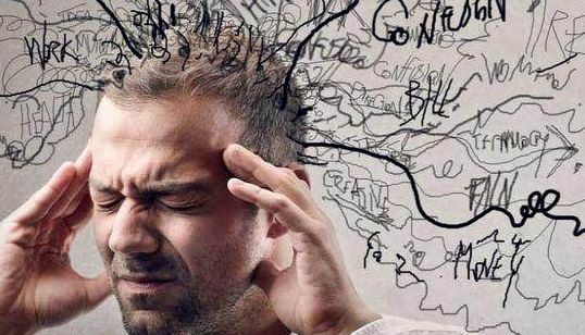 焦虑动物模型，行为实验方法（续）