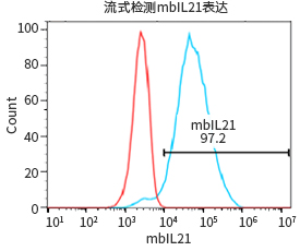 过表达稳定细胞系（株）构建服务