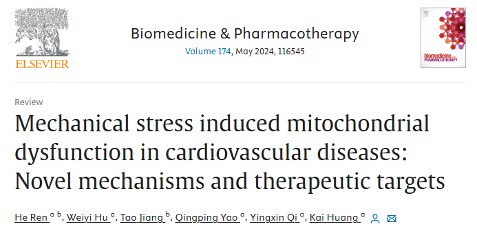 机械应力诱导的心血管疾病线粒体功能障碍：新机制和治疗靶点