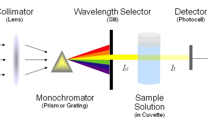 干货分享 | 蛋白定量的3种常用方法