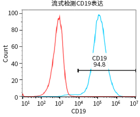 过表达稳定细胞系（株）构建服务