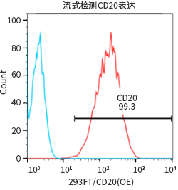 过表达稳定细胞系（株）构建服务
