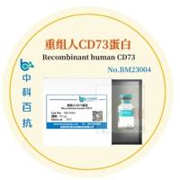 重组人CD73细胞因子