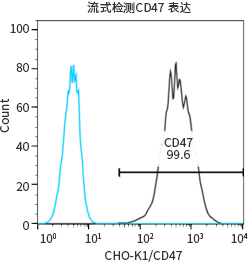 过表达稳定细胞系（株）构建服务