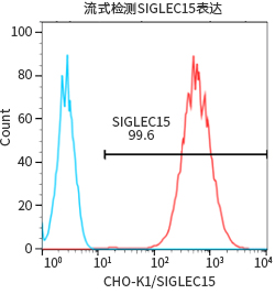 过表达稳定细胞系（株）构建服务