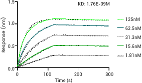 产品细节图片10